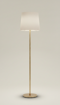 Brushed gold floor lamp in champagne hue